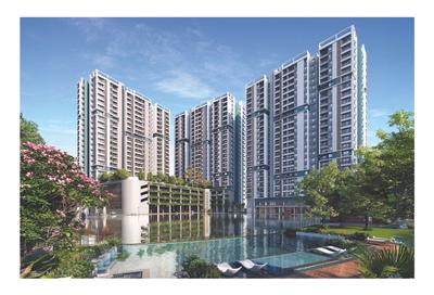 DTC Still Waters Brochure 16