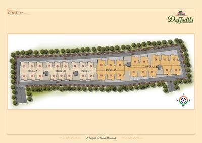 Vakil Daffodils Brochure 3