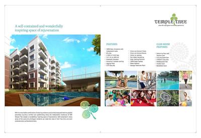 ARV Temple Tree Brochure 8