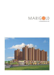 HN Safal Marigold Brochure 3