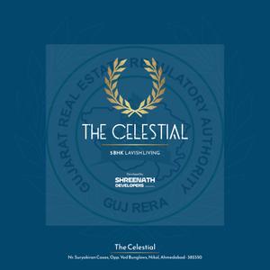 Shreenath The Celestial Brochure 1
