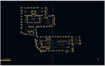 PS Aurus Brochure 35