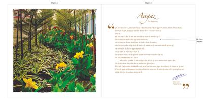 IAP Forest Trail Phase 1 Brochure 4