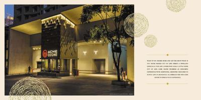 ACME Ozone Brochure 2