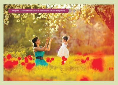 Brigade 7 Gardens Brochure 10