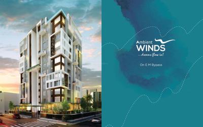 Ambient Winds Brochure 7