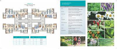 Rameshwar Park Daffodil B Brochure 4