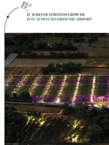 KNS Candrill Brochure 12