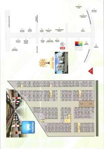 Sun Shine Orange Tree Brochure 21