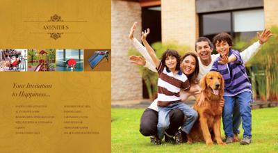 RSM Athena Brochure 4