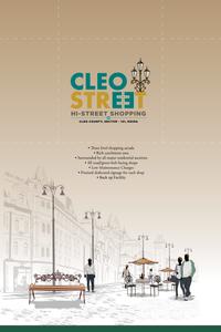 ABA Cleo County Brochure 10