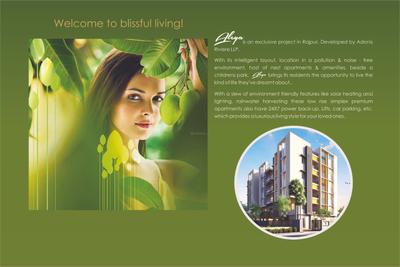Adonis Aleya Brochure 2