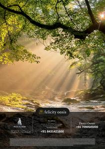 Felicity Oasis Brochure 18