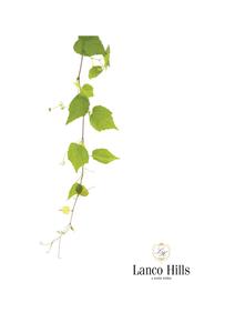 Lanco Hills Hanging Gardens Villas Brochure 1