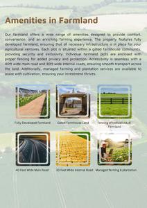Acuta Tatva Resorts and Farms Brochure 6