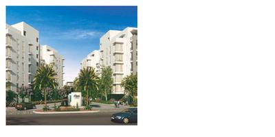 One Rise Brochure 14