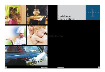 Brys Buzz Brochure 30