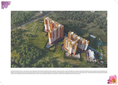 Brillio At Brigade Valencia Brochure 9