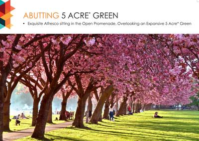 ACE Group Medley Avenue Brochure 22