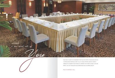 Unique Pristine Brochure 10