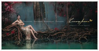 Canary Farms Brochure 3