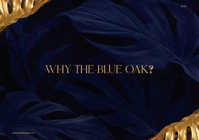 The Blue Oak Brochure 13