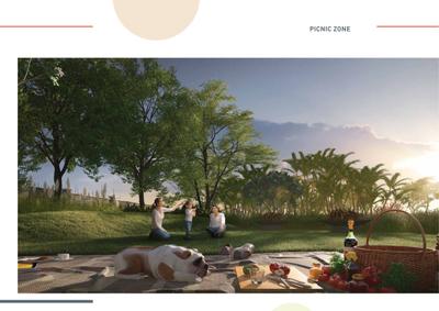 The Senses Brochure 15
