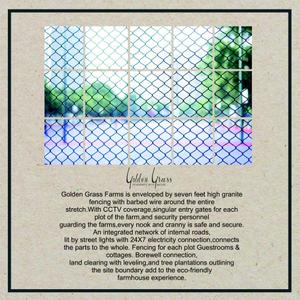 Golden Grass Brochure 16
