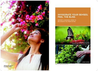 Arkade Serene Brochure 16
