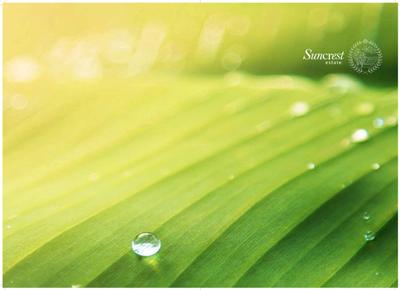 Suncrest Estate Phase 1 Brochure 1