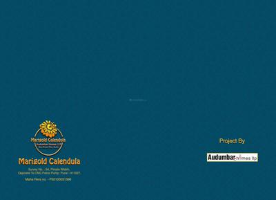 Marigold Calendula Brochure 18