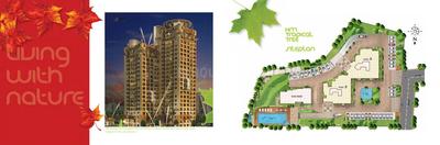 HM Tropical Tree Brochure 3