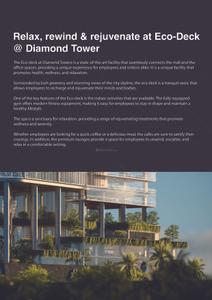 SAS Diamond Towers Brochure 8