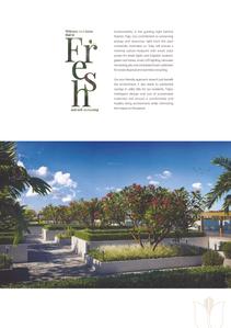 Rubrick Tulip Brochure 7