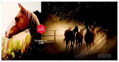 Orbit Ashwa Brochure 2