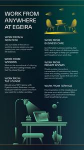 Levonor Egeira Brochure 25