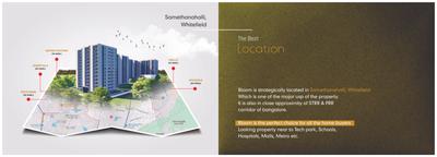 Codename Bloom Brochure 4
