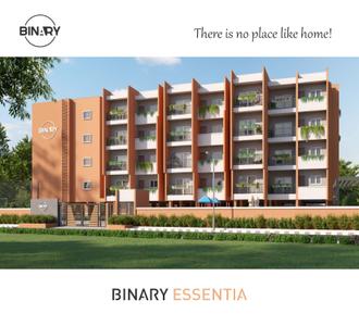 Binary Essentia Brochure 1