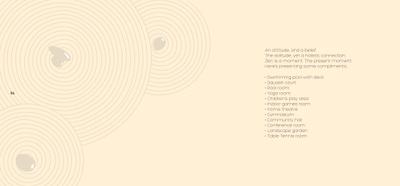 PS Zen Brochure 7