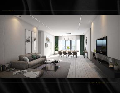 Darpan 88 Phase I Brochure 22