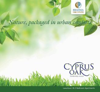 Brahma Cyprus Oak Brochure 1