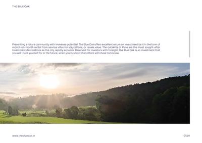 The Blue Oak Brochure 7