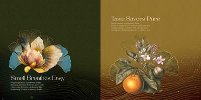 Saiven Six Senses Brochure 5