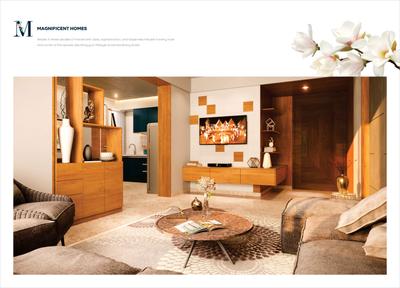 Silver Spring Brochure 11