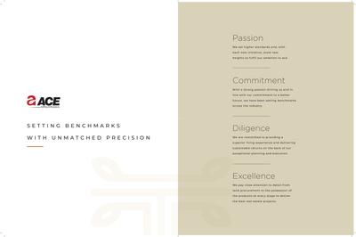 ACE Terra Brochure 22