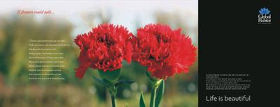 Global Carnation Brochure 2