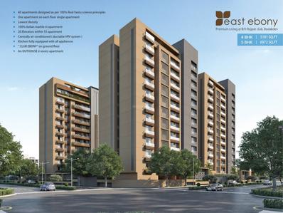 True East Ebony Brochure 2