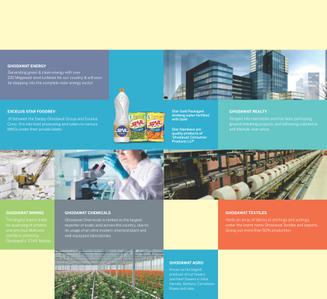 Pate Life Montage Brochure 23
