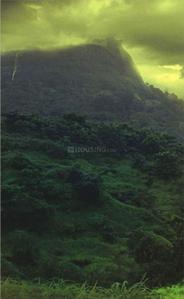 Cosmos Sun Glory Brochure 13