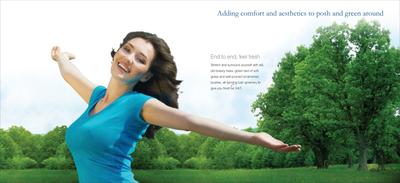 DS Needs 3 Project 276 Brochure 4
